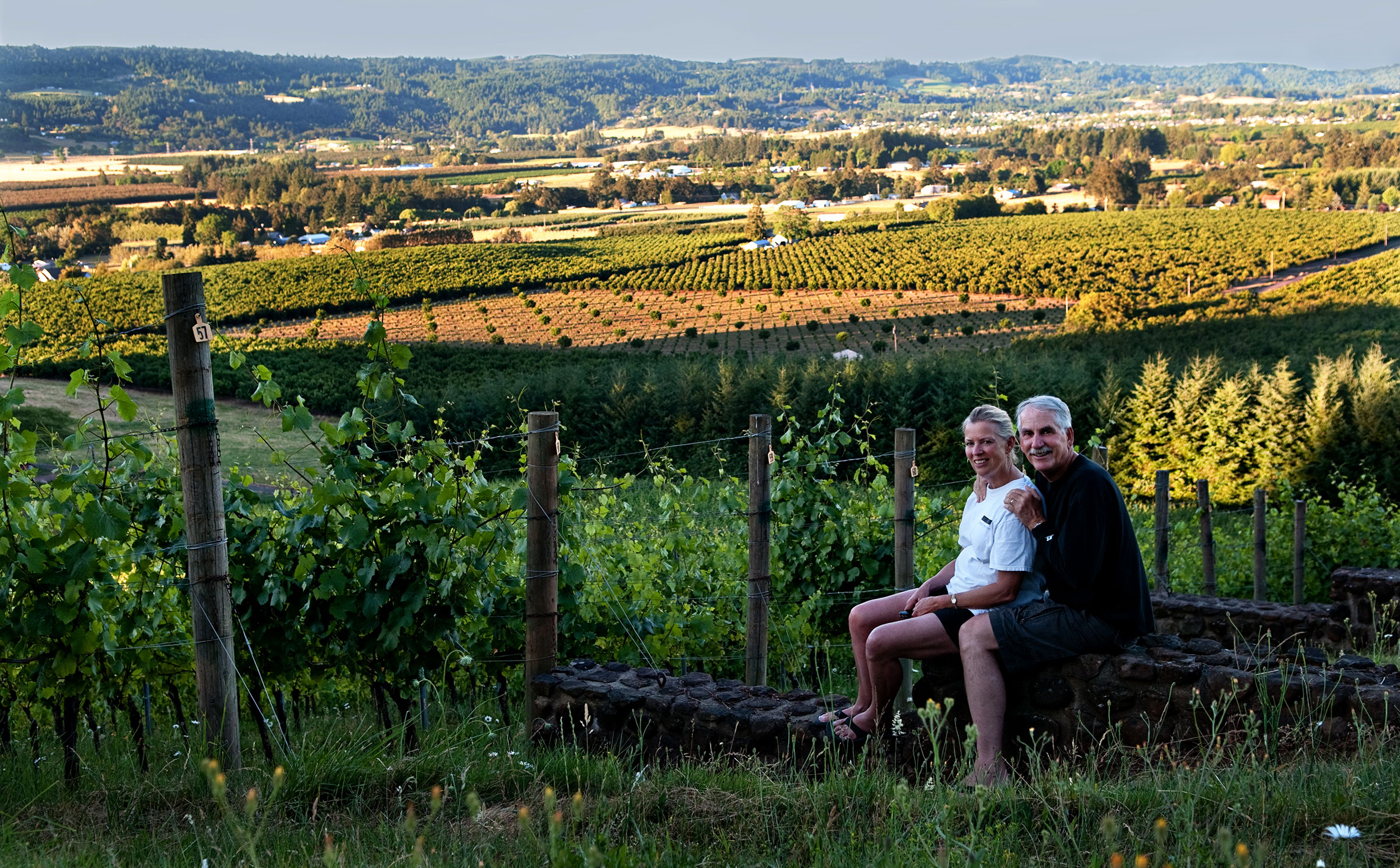Anderson Family Vineyard