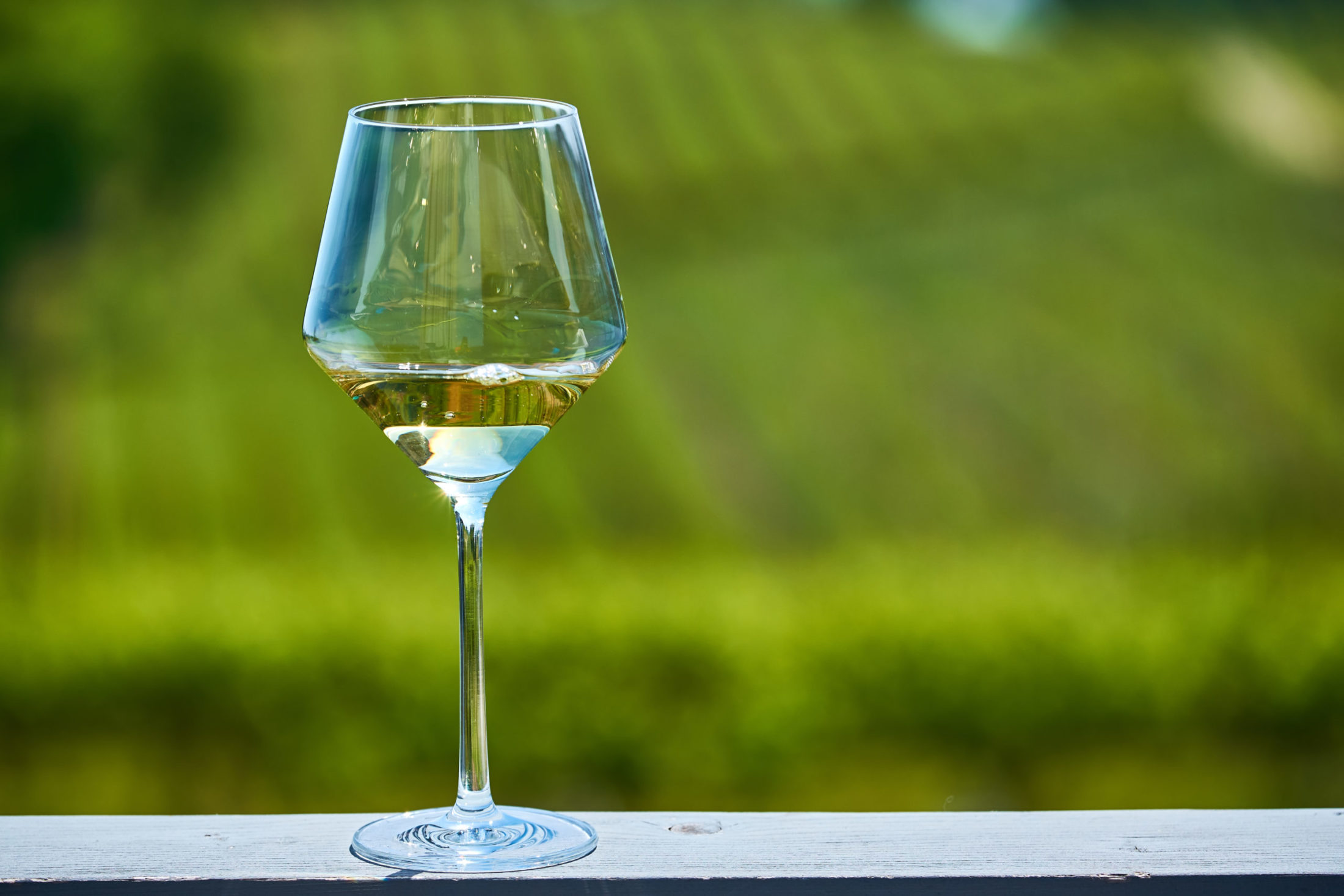 Glass of white wine and vineyards
