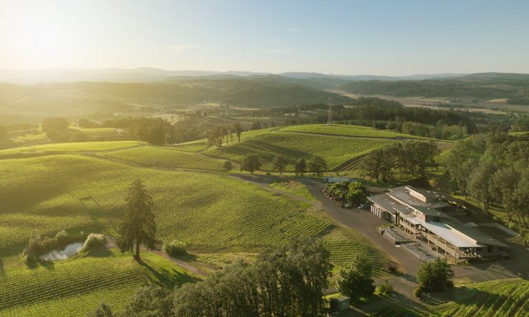 Alexana Winery 1 by Jeff Lewis 768x461