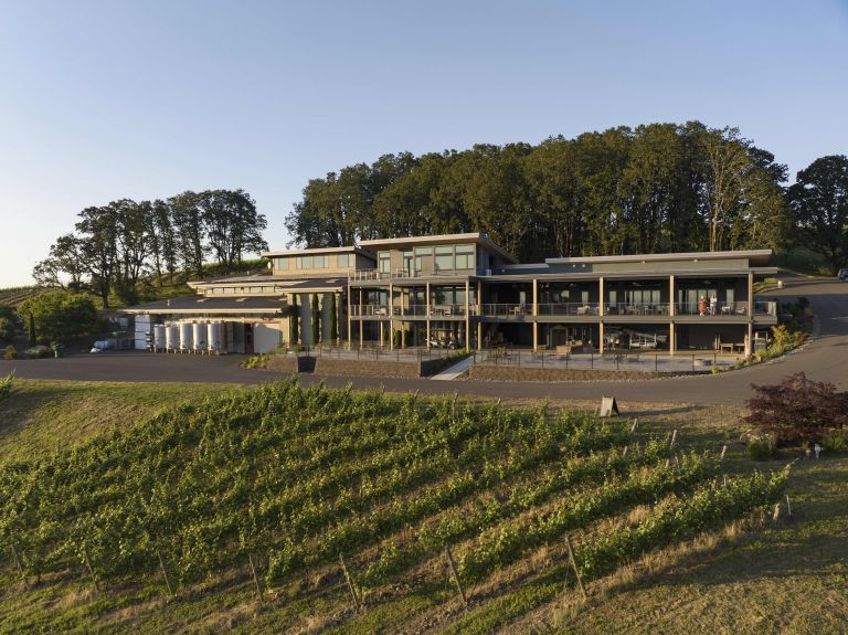 Alexana Winery 3 by Andrea Johnson 768x575