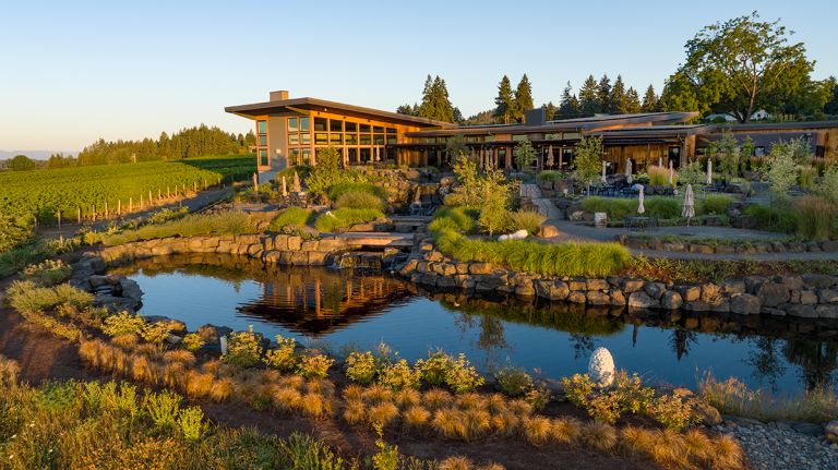 Domaine Willamette Overview Photo by Andrea Johnson 768x431