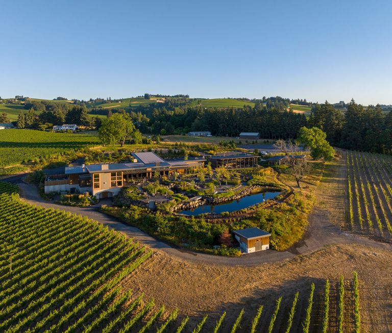 Domaine Willamette Property Photo by Andrea Johnson 768x653