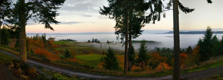 Fall Panorama 768x278