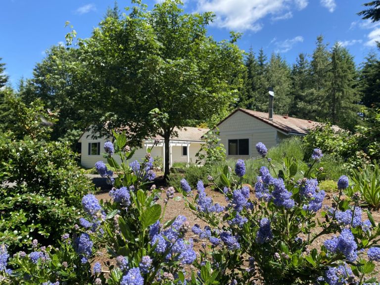 IMG 7575 copy Large 1 768x576