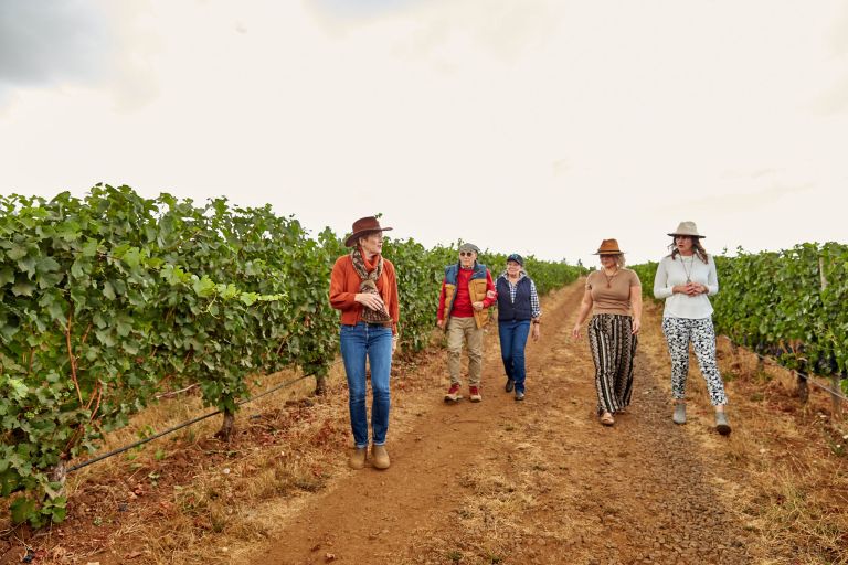 Knudsen Vineyards Vineyard Hike 768x512