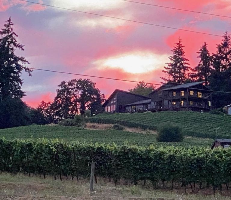 Pink Sky 1 768x665