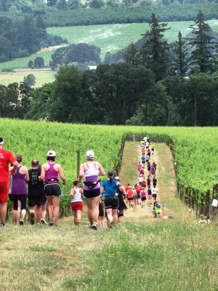 Vineyard Run