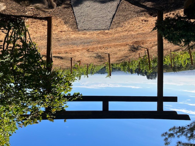 Torii