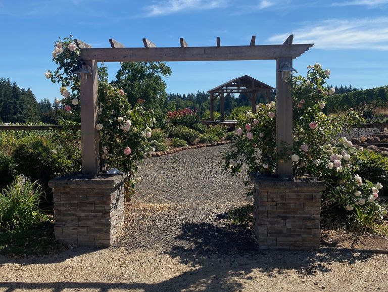 Vineyard Garden 2 768x578