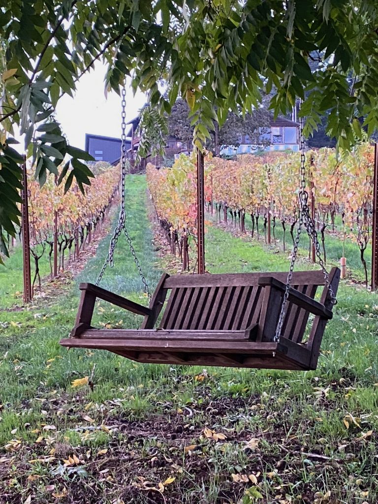 Vineyard Swing Picture 768x1024