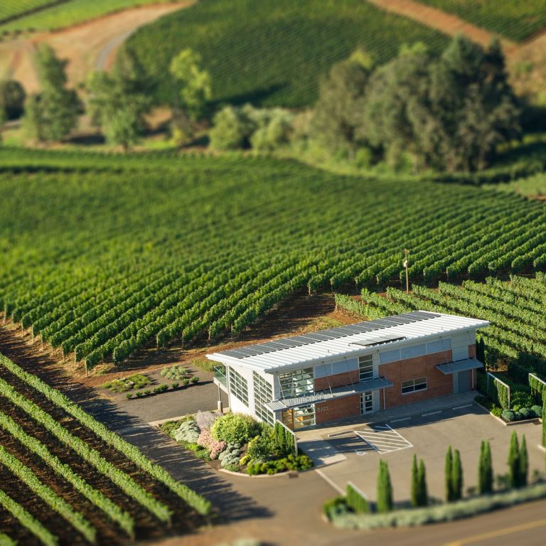 Winderlea Vineyard 768x768