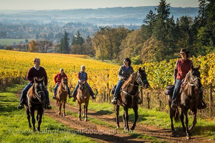 Fall Horses