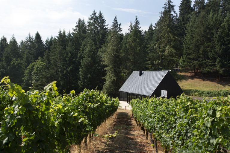 Woodshed 9864 768x512