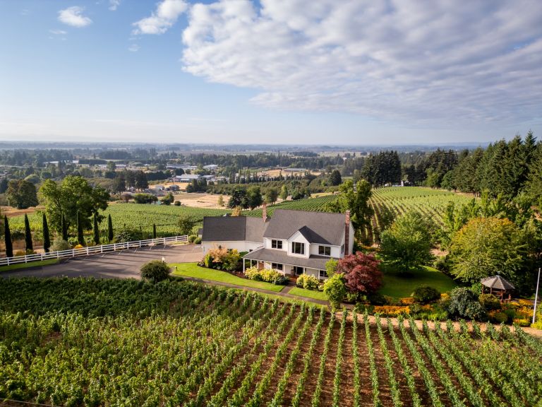 JohnValls BergstromVineyard EkollonHouse 768x576
