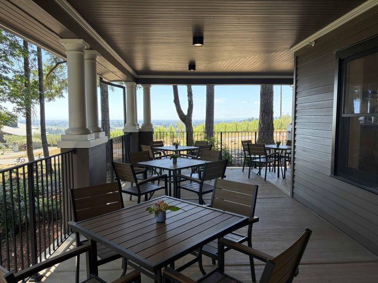 SGW TR patio downstairs1small 768x576