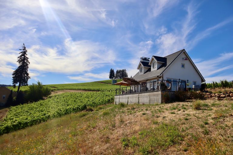 Tasting room recent 2026 summer 768x512
